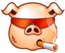 Oink Oink's Avatar